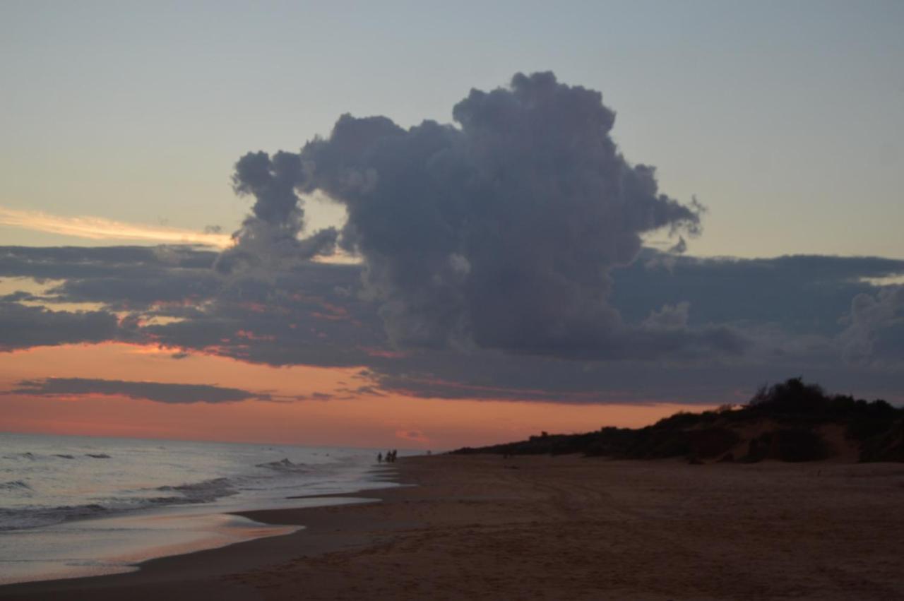 쿠치야 알타 Playa, Paz Y Naturaleza 빌라 외부 사진